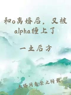 和o离婚后，又被alpha缠上了