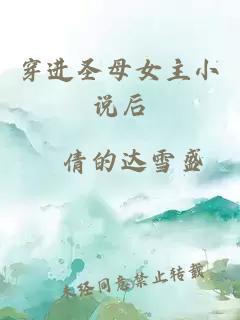 穿进圣母女主小说后