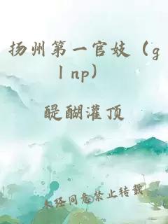 扬州第一官妓（gl np）