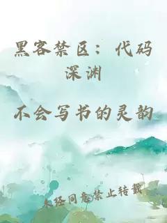 黑客禁区：代码深渊