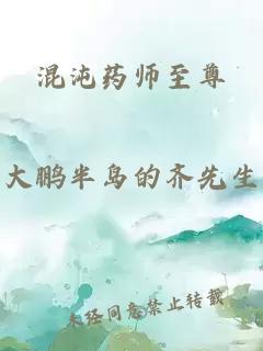 混沌药师至尊