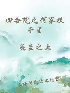 四合院之何家双子星