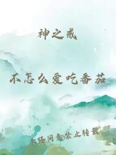 神之戒