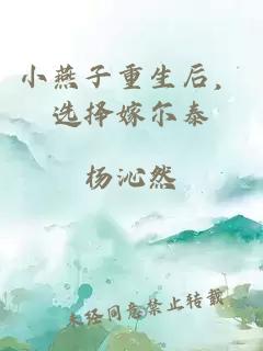 小燕子重生后，选择嫁尔泰