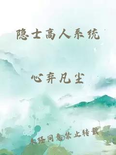 隐士高人系统