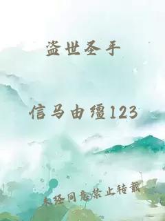 盗世圣手
