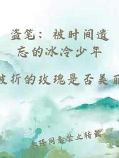 盗笔：被时间遗忘的冰冷少年