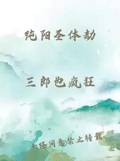 纯阳圣体劫