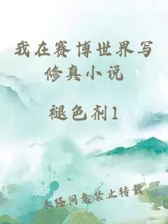 我在赛博世界写修真小说