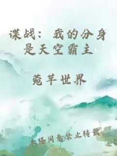 谍战：我的分身是天空霸主