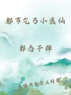 都市乞丐小医仙