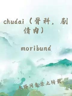 chudai(骨科,剧情肉)