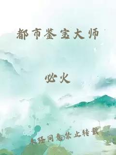 都市鉴宝大师