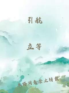 引航