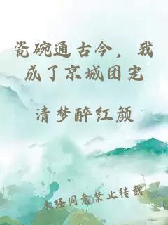 瓷碗通古今，我成了京城团宠