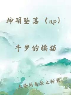 神明坠落（np）