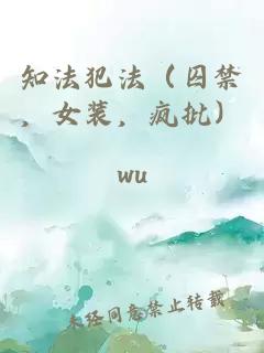 知法犯法（囚禁，女装，疯批）