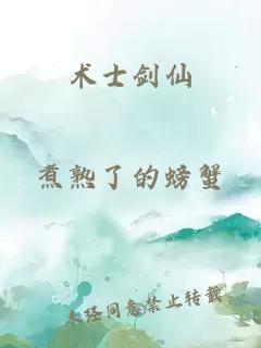 术士剑仙
