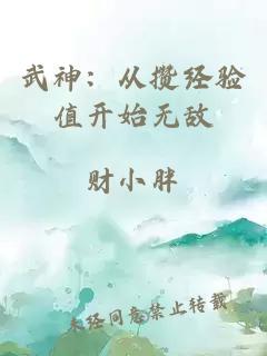 武神：从攒经验值开始无敌