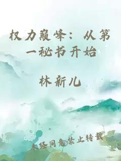 权力巅峰：从第一秘书开始