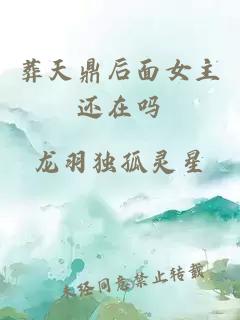 葬天鼎后面女主还在吗