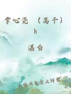 掌心瓷 （高干）h