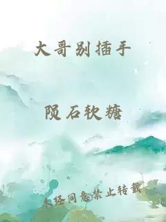 大哥别插手