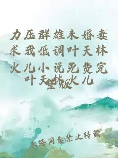 力压群雄未婚妻求我低调叶天林火儿小说免费完整版