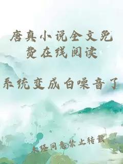 唐真小说全文免费在线阅读