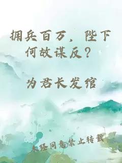 拥兵百万，陛下何故谋反？