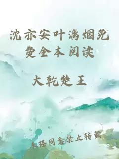 沈亦安叶漓烟免费全本阅读