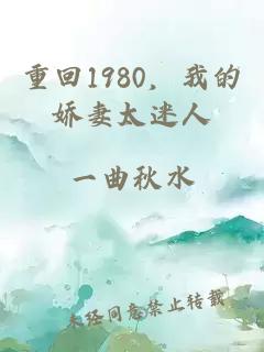 重回1980，我的娇妻太迷人