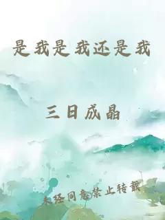 是我是我还是我