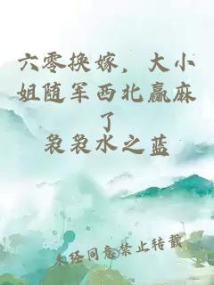 六零换嫁，大小姐随军西北赢麻了