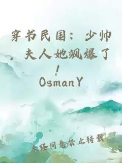 穿书民国：少帅，夫人她飒爆了！