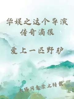 华娱之这个导演传奇滴很