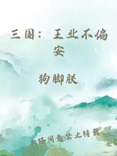 三国：王业不偏安