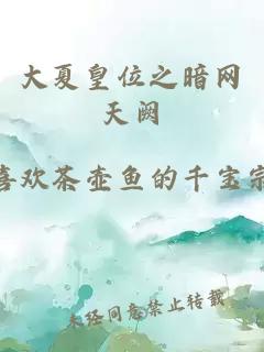 大夏皇位之暗网天阙