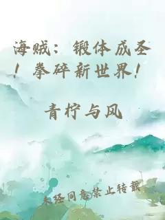 海贼：锻体成圣！拳碎新世界！