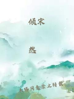 倾宋