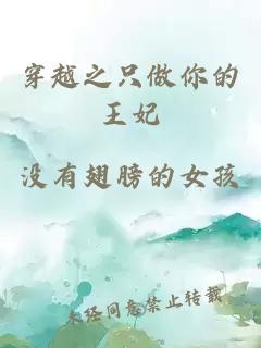 穿越之只做你的王妃