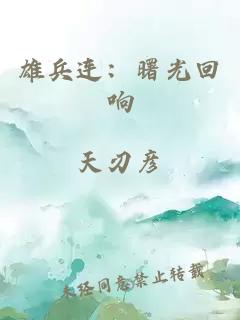 雄兵连：曙光回响