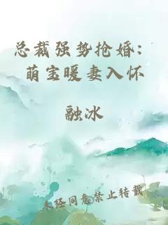 总裁强势抢婚：萌宝暖妻入怀