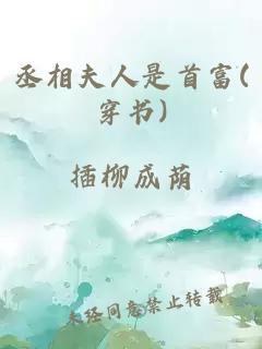 丞相夫人是首富(穿书)