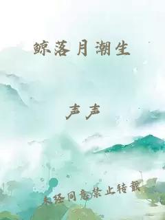 鲸落月潮生
