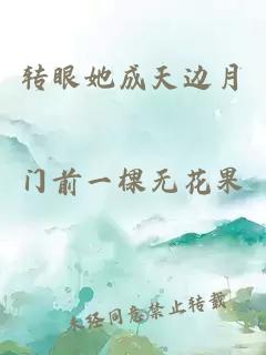 转眼她成天边月