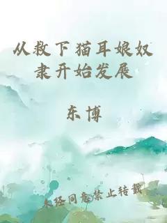 从救下猫耳娘奴隶开始发展