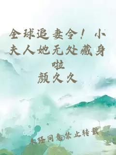全球追妻令！小夫人她无处藏身啦