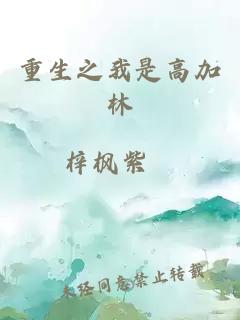 重生之我是高加林