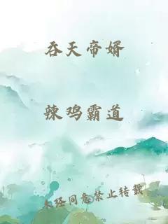 吞天帝婿